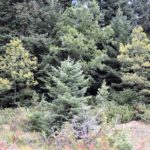 958bd-dsc_03402b255bsite900x600255d