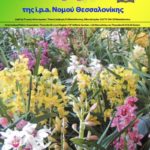 %ce%b4%cf%8d%ce%bd%ce%b1%ce%bc%ce%b7-ipa