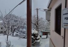 Οι Αστυνομικοί της Μαγνησίας αντιμέτωποι με την “Μπάρμπαρα”